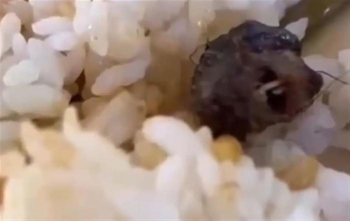 认定为鼠头！江西通报“鼠头鸭脖”事件调查结果